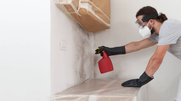 Professional Basement Mold Removal technician working in Lawrence Township, NJ