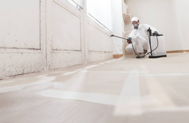24/7 Emergency Basement Mold Removal experts in Lawrence Township, NJ