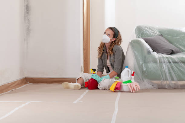 Reliable Basement Mold Removal contractor in Lawrence Township, NJ by WQB Mold Removal